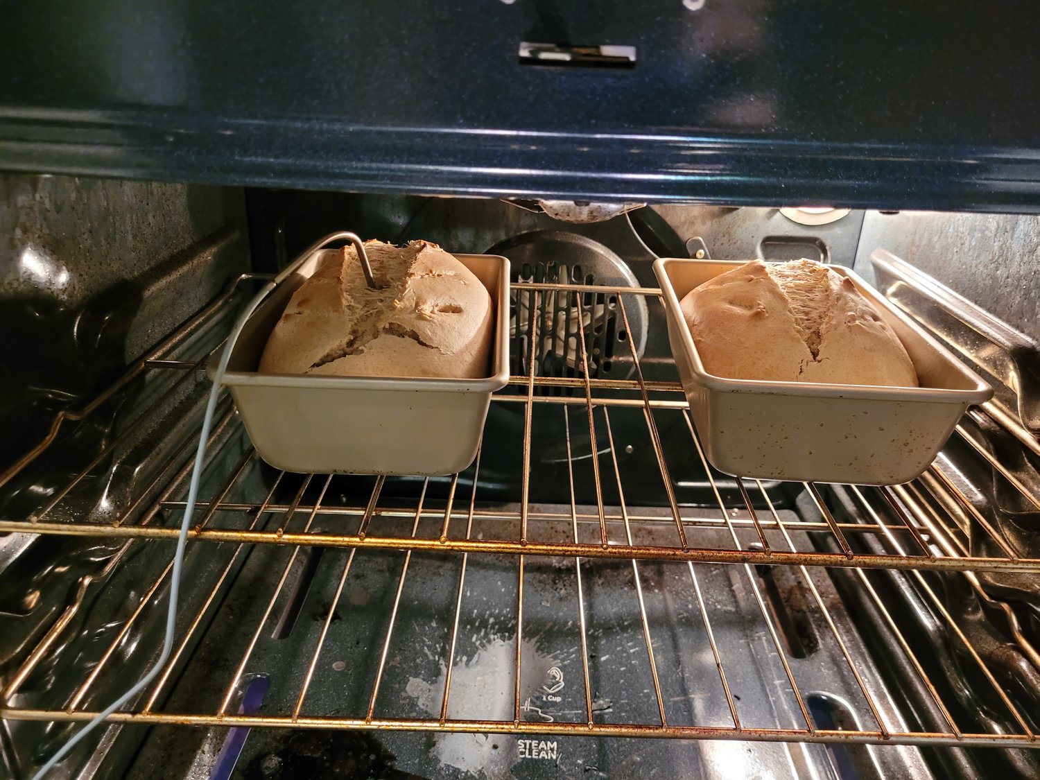Honey-wheat loaves are baking.
